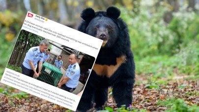 Chciała mieć psa. Po dwóch latach okazało się, że sprzedano jej niedźwiedzia