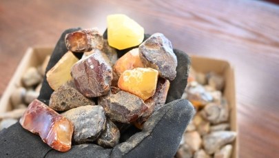 Chcieli przemycić pociągiem z Odessy 30 kg bursztynu. Zostali zatrzymani