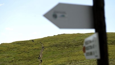 Chcieli sobie zrobić zdjęcie ze słupem granicznym. Dostali mandaty