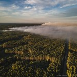 Chcieli strzelać do bobrów. Teraz walczą z pożarami lasów