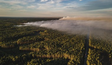Chcieli strzelać do bobrów. Teraz walczą z pożarami lasów