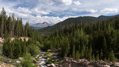 Chcieli żyć z dala od cywilizacji. Tragiczna śmierć rodziny