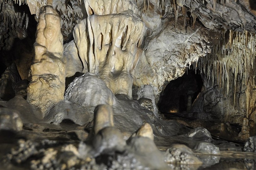 Chęcińska jaskinia krasowa wyróżnia się bogatą szatą naciekową. /PT Łysogóry, CC BY-SA 4.0 DEED /Wikimedia
