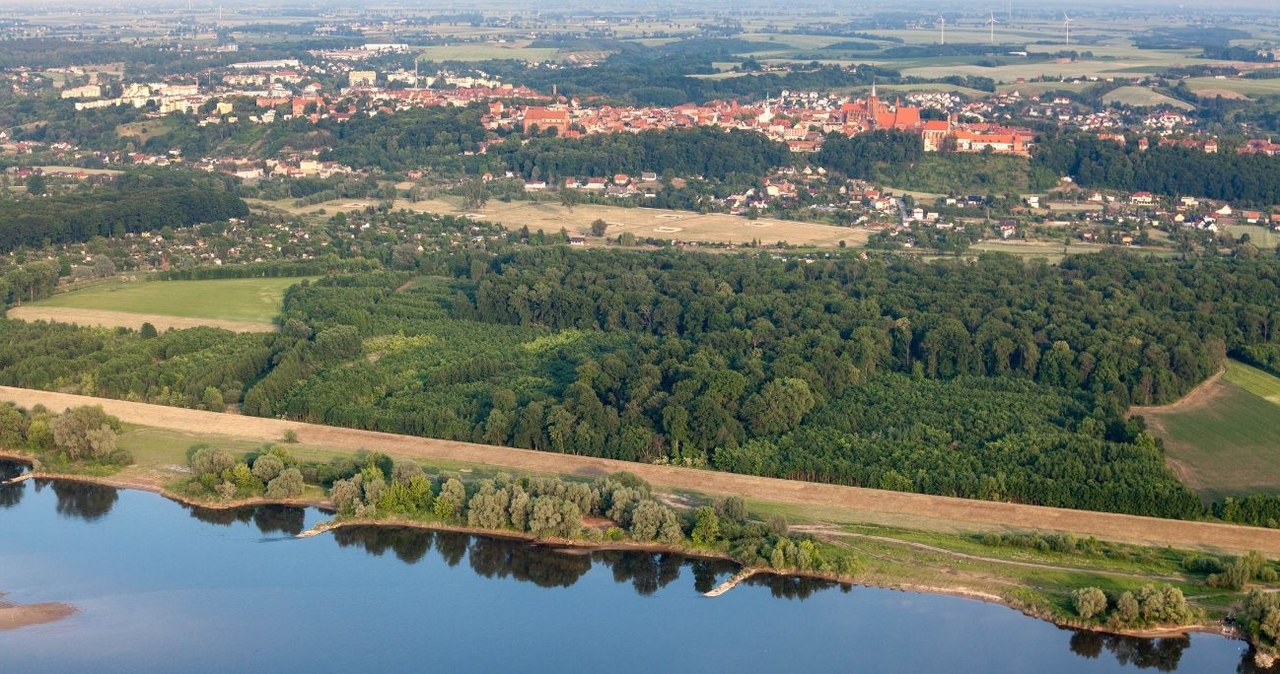Chełmno i Wisła z lotu ptaka /Wojciech Wójcik /Agencja FORUM