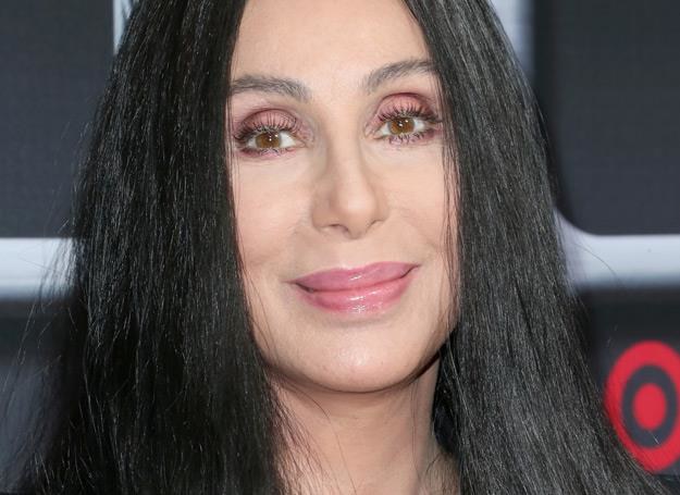 Cher odkopała piosenkę o wampirach - fot. Frederick M. Brown /Getty Images/Flash Press Media