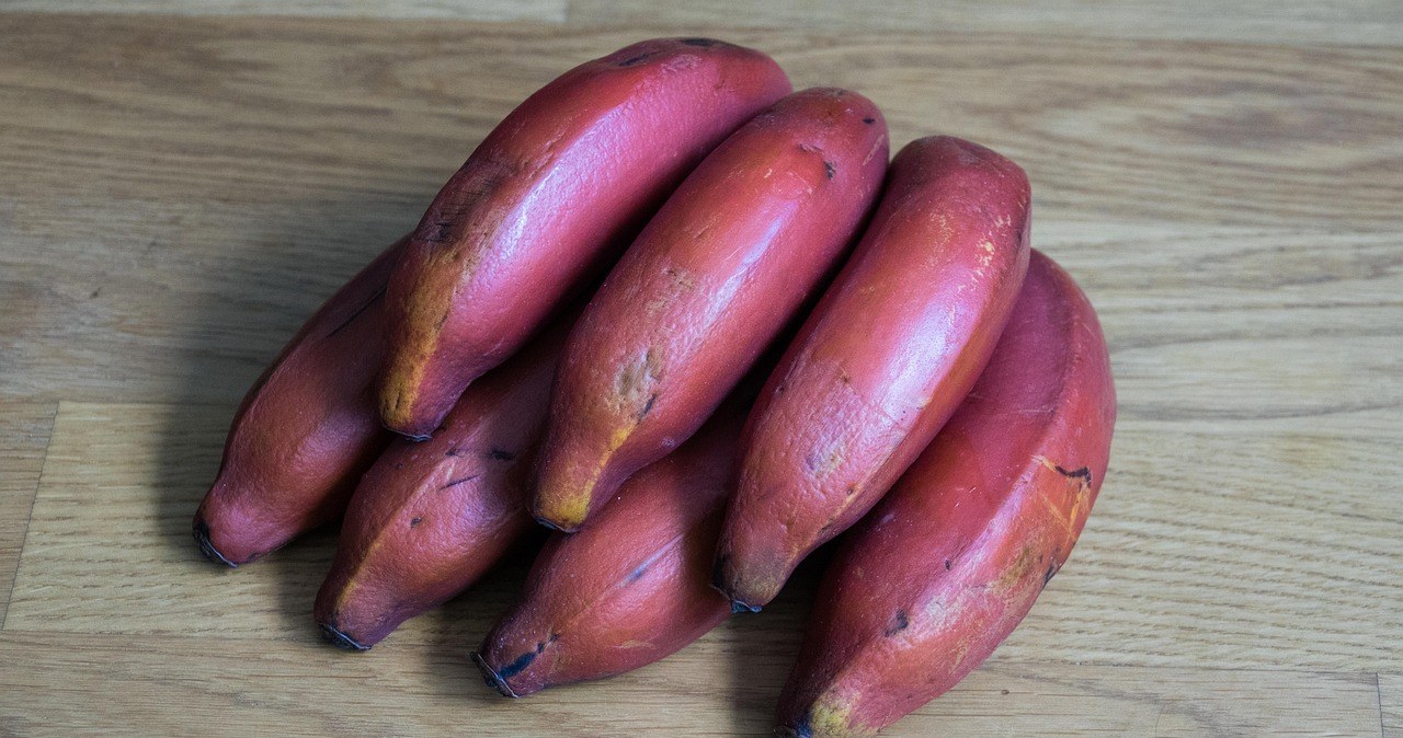 Червоні банани смакують як малина та манго. Чим вони корисні? /pixabay.com