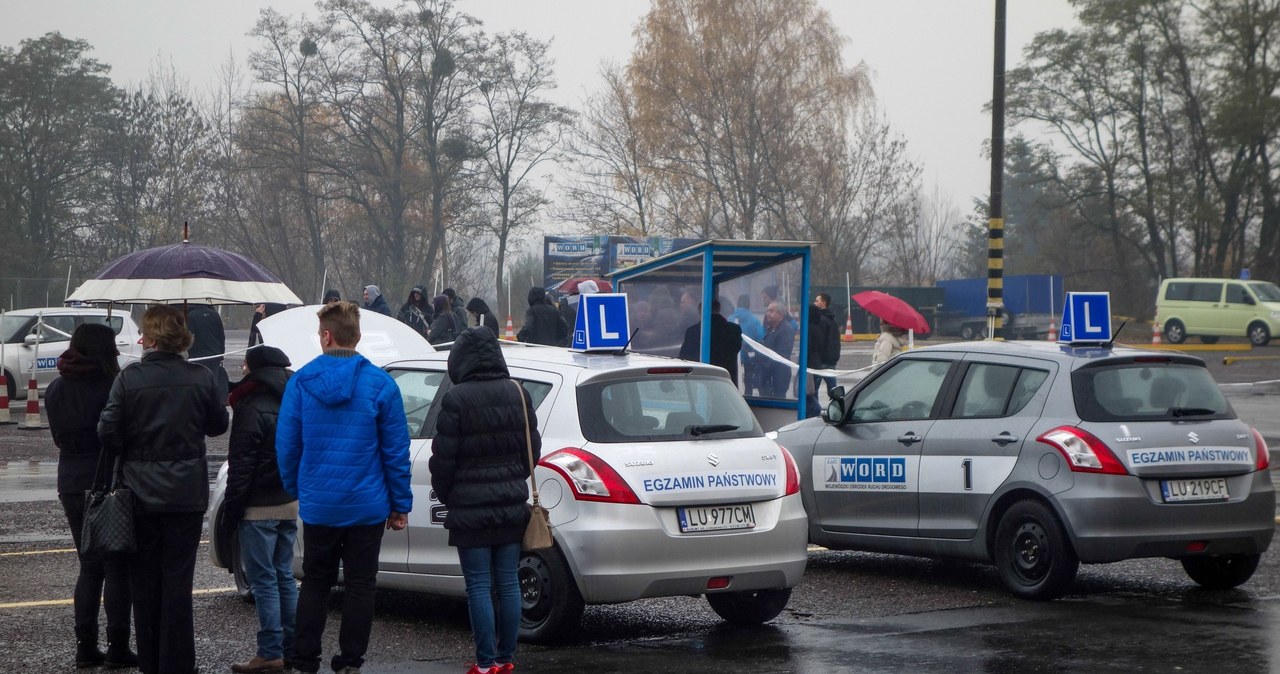 Chętnych na kierowców nie brakuje, wszyscy chcą zdążyć przed nowym prawem /Piotr Kamionka /Reporter