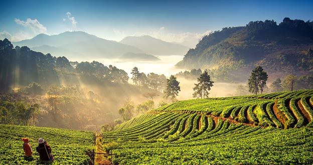 Chiang Mai w Tajlandii /&copy;123RF/PICSEL