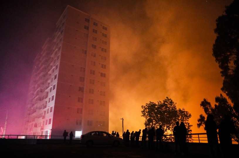 Chile wprowadza stan wyjątkowy z powodu pożarów /JAVIER TORRES /AFP