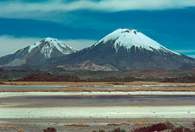 Chile, wulkany Payachatas i jezioro Chungara /Encyklopedia Internautica