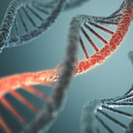 Chińczycy będą edytować geny, by leczyć raka