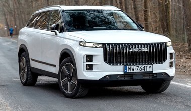 Chińczycy gromią konkurencję w Polsce. Francuzi i Japończycy upokorzeni