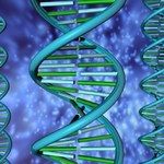 Chińczycy pierwsi zastosowali metodę edycji genów CRISPR u człowieka