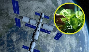 Chińscy astronauci sami wyhodowali warzywa na stacji kosmicznej Tiangong  