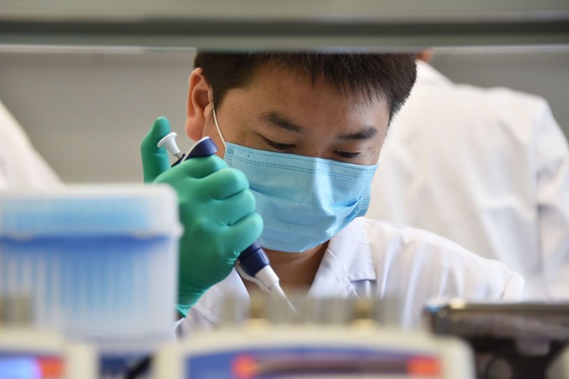 Chiński genetyk pracujący w laboratorium GeseDNA Technology w Pekinie /Greg BAKER /AFP