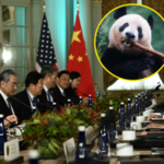 Chiński przywódca obiecuje Amerykanom pandy. Tak chce poprawić stosunki z USA