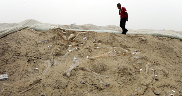 Chiński robotnik idzie po skarpie, w której znajduje się mnóstwo kości dinozaurów, Zhucheng, Chiny /AFP