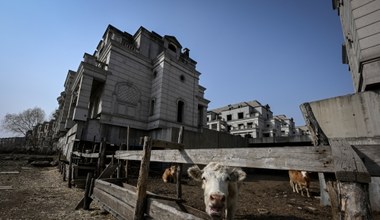 Chińskie rezydencje w ruinie. Kogo przyciąga miasto duchów?