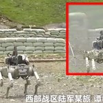 Chińskie robo-psy uzbrojone po zęby. Tak wyglądają w akcji