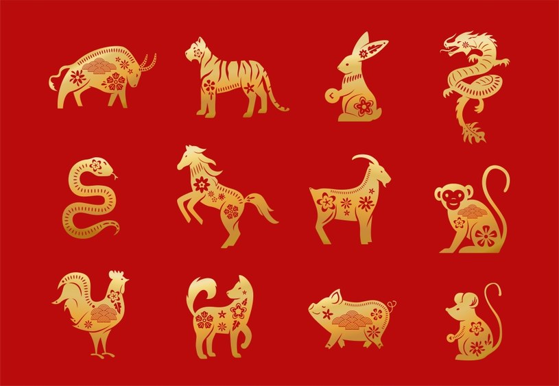 Chińskie znaki zodiaku /Freepik /materiał zewnętrzny