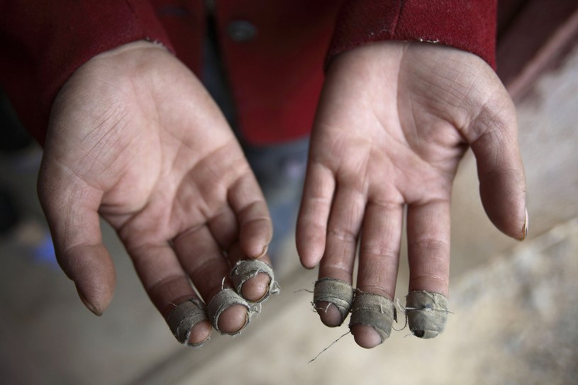 Chiny. Dłonie pracownika plantacji bawełny /Getty Images/Flash Press Media