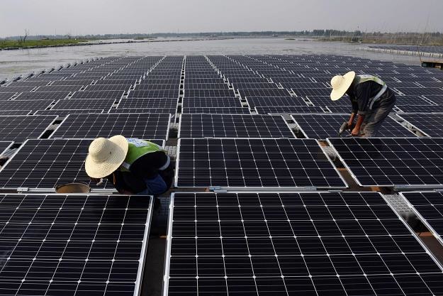 Chiny liderem inwestycji w odnawialne źródła energii na świecie /AFP