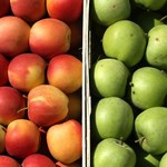 Chiny zniosą embargo na polskie jabłka? 