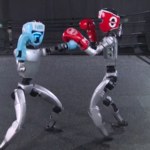 Chiny zorganizowały turniej walk robotów. Humanoidy biją się na ringu