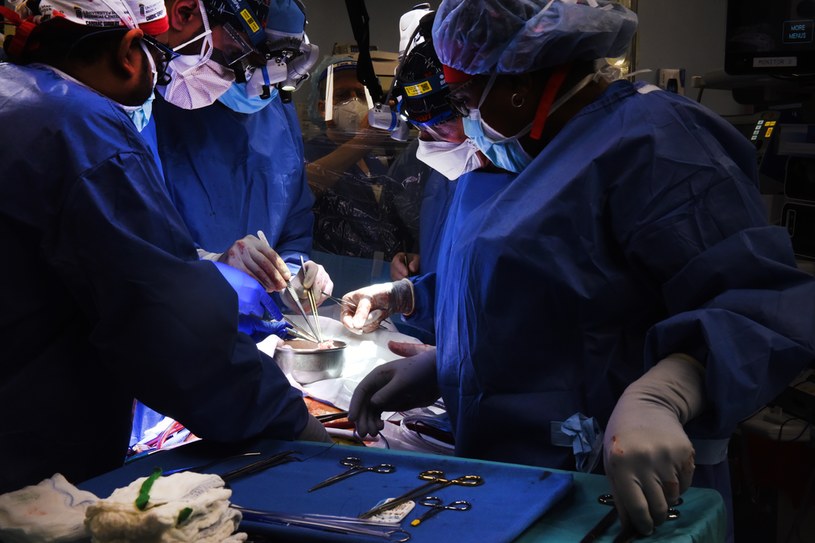 Chirurdzy podczas operacji /Fot. University of Maryland Medical Center /materiały prasowe