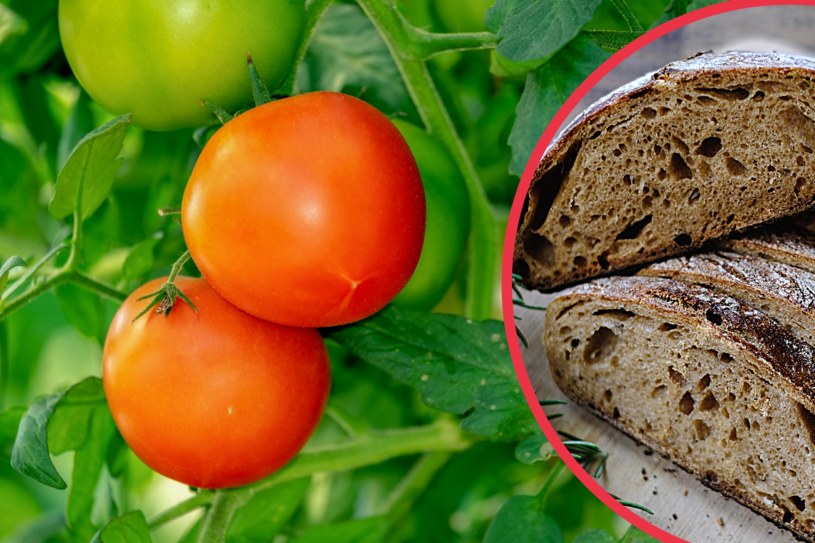 Chleb jest używany jako nawóz do pomidorów czy ogórków, ze względu na jego bazę drożdżową /123RF/PICSEL