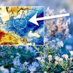 chłód Chłód, deszcz, śnieg i nocny mróz. Pogoda we wtorek nie zachwyci