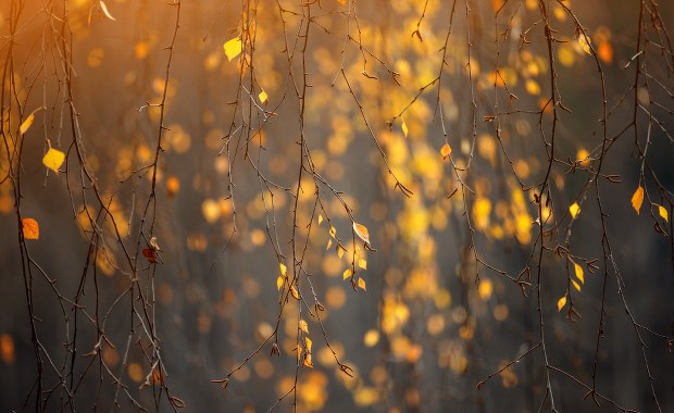 Chłód odpuści. Od jutra cieplej i słoneczniej