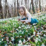 Chłodne noce, słoneczne dni. Jak będą wyglądały pierwsze dni wiosny?