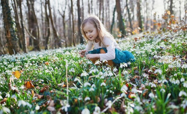 Chłodne noce, słoneczne dni. Jak będą wyglądały pierwsze dni wiosny?
