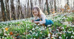 Chłodne noce, słoneczne dni. Jak będą wyglądały pierwsze dni wiosny?