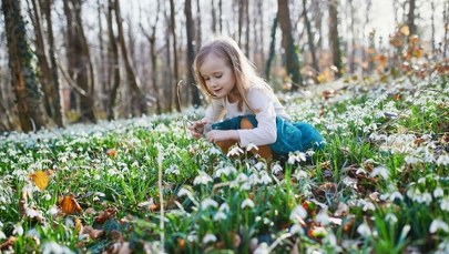 Chłodne noce, słoneczne dni. Jak będą wyglądały pierwsze dni wiosny?