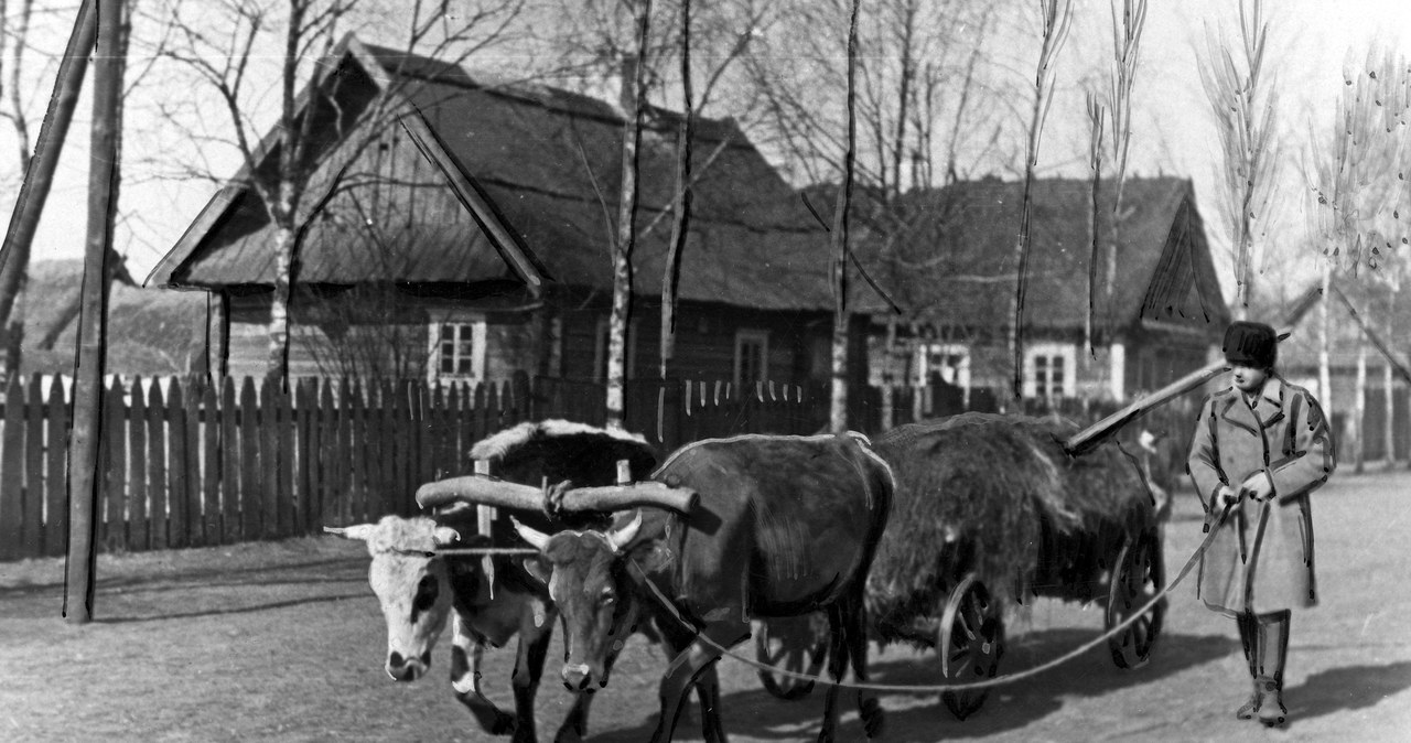 Chłop z Polesia, lata 30. /Z archiwum Narodowego Archiwum Cyfrowego