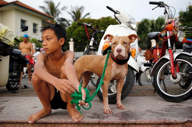 Chłopiec na ulicy Hanoi / 	LUONG THAI LINH    /PAP/EPA