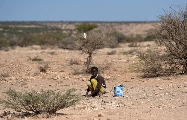 Chłopiec na wyjałowionej ziemi w Somalii. /	Joe Giddens /PAP/EPA