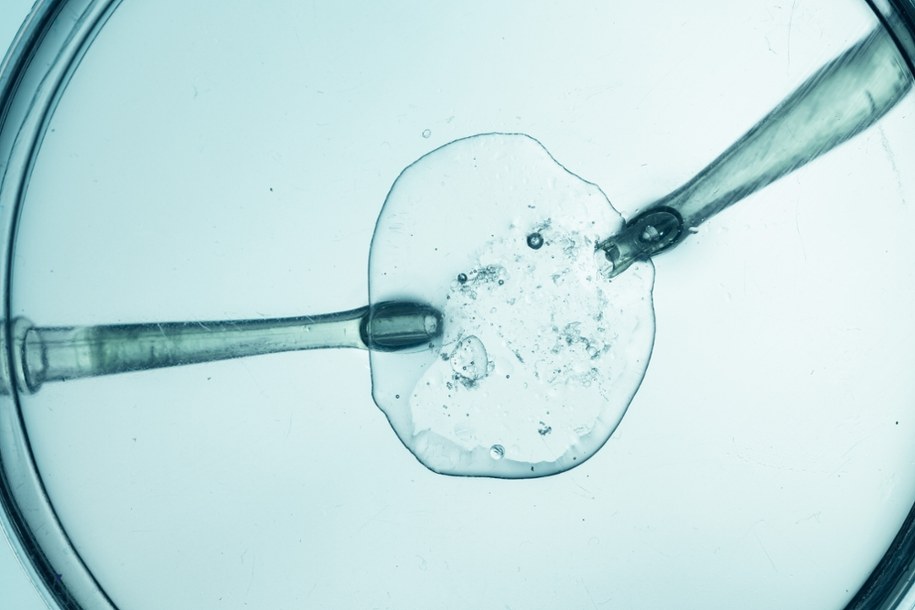 Cud narodzin po 30 latach. Chłopiec urodził się z najdłużej zamrożonego zarodka na świecie