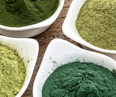 Chlorella - superzdrowy glon, który chroni przed rakiem