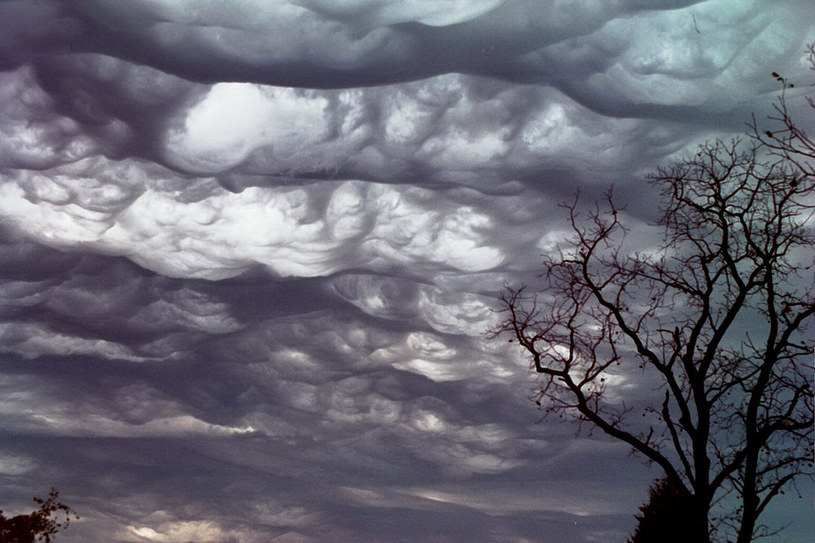 Chmura Asperitas nad Pocahontas w stanie Missouri /Wikimedia Commons /domena publiczna