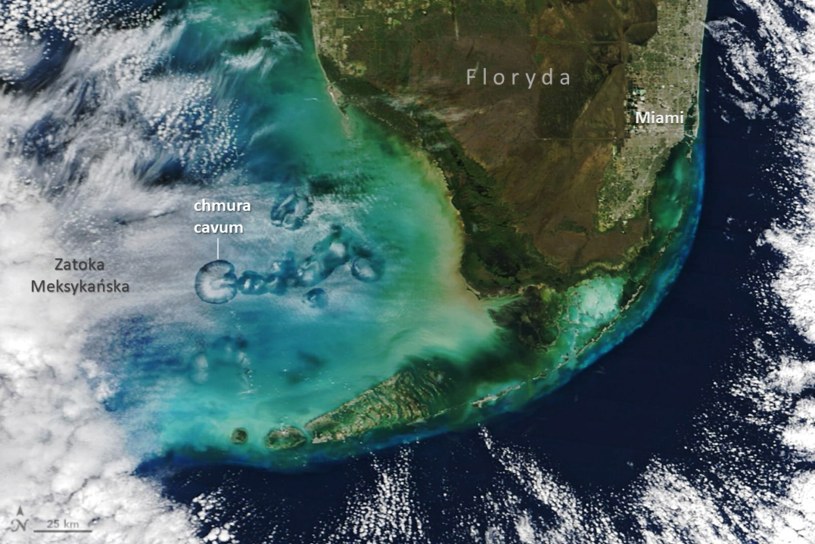 Chmury cavum nad Zatoką Meksykańską /opr. GeekWeek/NASA Earth Observatory/ /domena publiczna