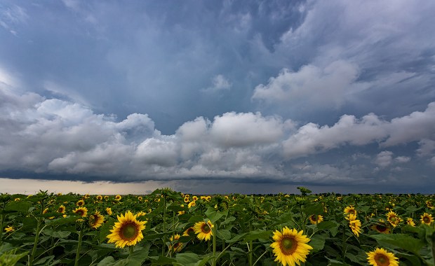 Chmury nad Polską. Możliwe przelotne opady