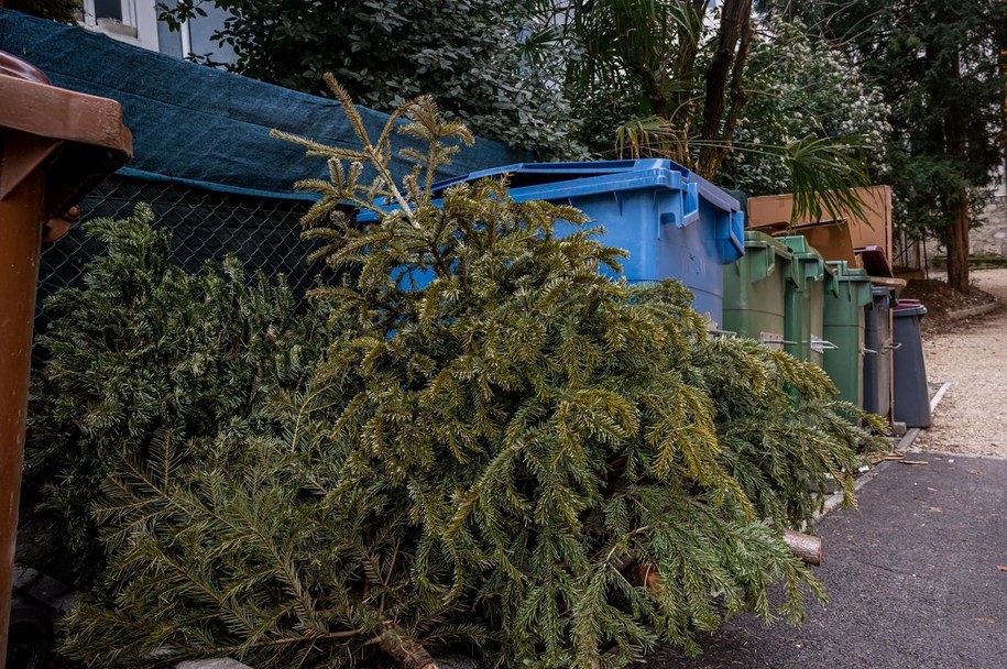 Choinek nie należy wrzucać do pojemników, ale zostawić je obok koszy - wtedy będzie mogła zostać poddana recyklingowi /UMWŁ /Materiały prasowe