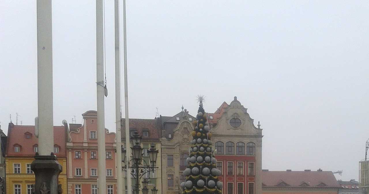 Choinka, a może twór choinkopodobny