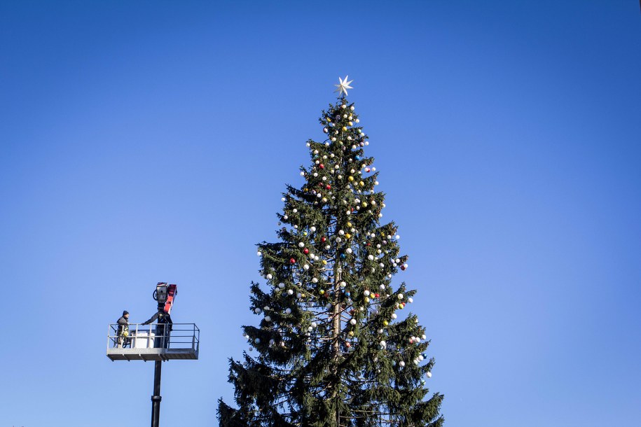 Choinka na Placu Świętego Piotra /Raffaella Midiri /PAP/Photoshot