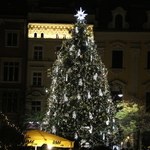 Choinka na Rynku Głównym w Krakowie już świeci! 