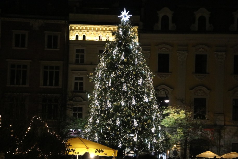 Choinka na Rynku Głównym w Krakowie /Józef Polewka /RMF FM