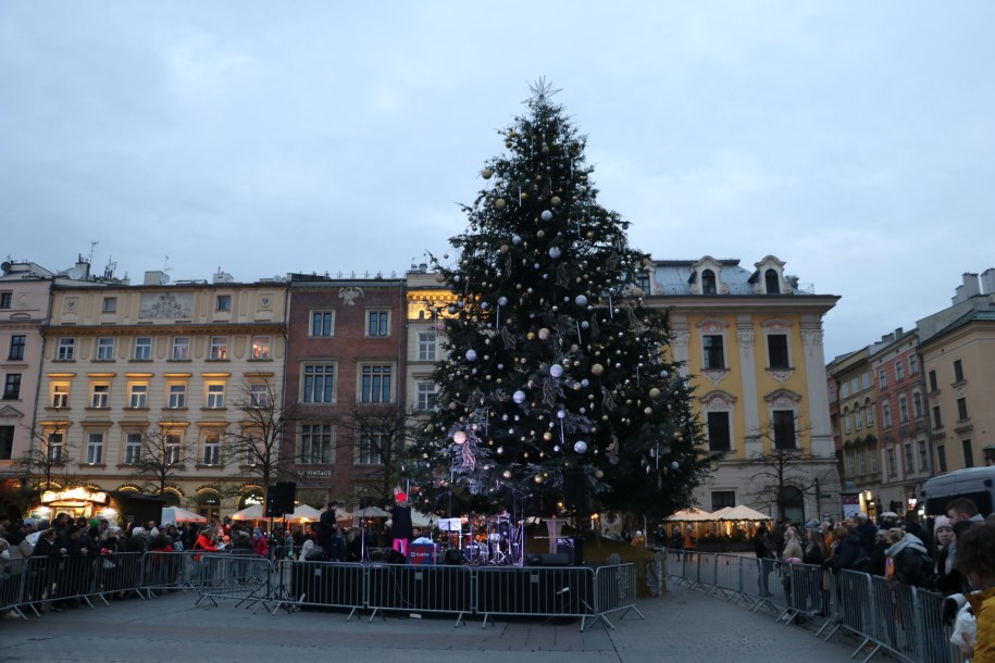 Choinka na Rynku Głównym w Krakowie /Józef Polewka /RMF FM